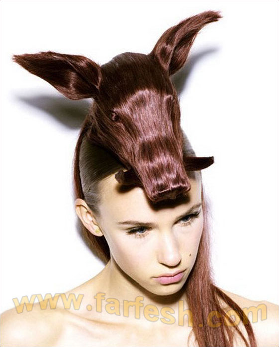 البسي حيوانك المفضل على رأسك! 