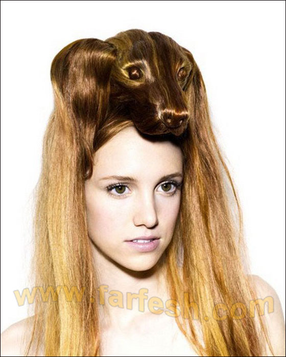 البسي حيوانك المفضل على رأسك! 