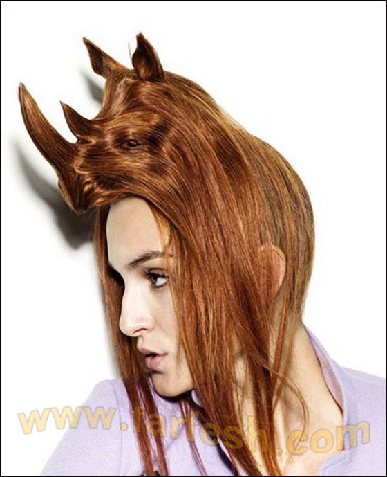 البسي حيوانك المفضل على رأسك! 