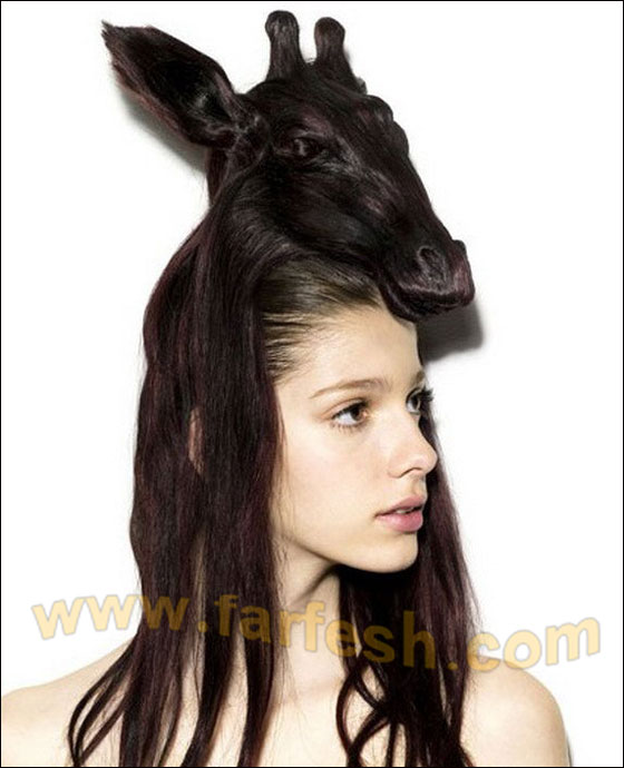 البسي حيوانك المفضل على رأسك! 