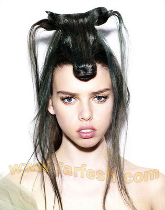 البسي حيوانك المفضل على رأسك! 