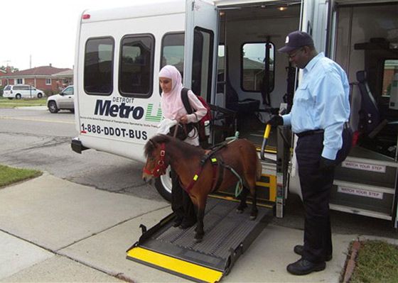 مكفوفة تستعين بفرس للتنقل 