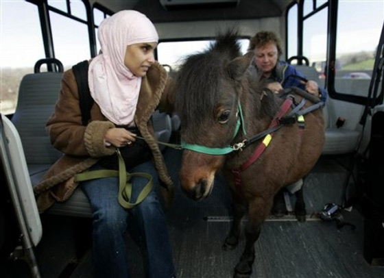 مكفوفة تستعين بفرس للتنقل 