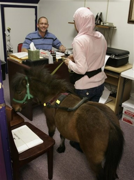 مكفوفة تستعين بفرس للتنقل 