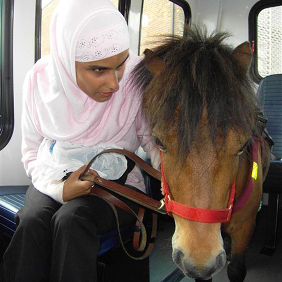 مكفوفة تستعين بفرس للتنقل 