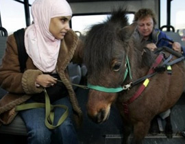 مكفوفة تستعين بفرس للتنقل 