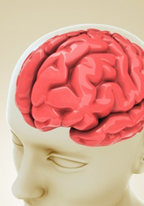 النساء اقل قدره على مقاومه الجوع