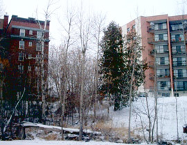 تريد انقاص وزنك؟.. اختر المرتفعات سكناً!!