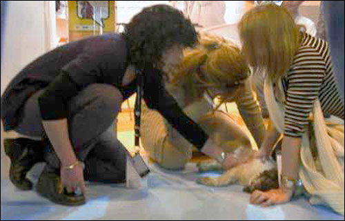 معطف يقتل عارض الأزياء خلال العرض!!!! 