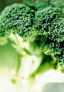 البروكولي يقلل خطر الاصابة بسرطان الثدي