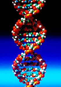  جينات تحدد التغيرات الدقيقة في لون العين