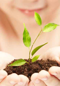 اسهل الافكار للحفاظ على النباتات!