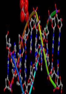 العلماء الأمريكيون بدأوا في دراسة أسرار الجين البشري!