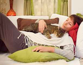 القطط تقي من الاصابة بأمراض القلب!