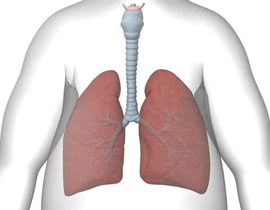 إتمام أول عمليتي زراعة قصبة هوائية في العالم بنجاح!