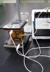 البطاطس المكهربة.. علاج جديد لمرضى السرطان!!