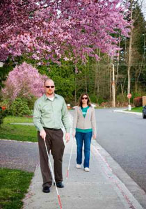 جديد: قرنيات صناعية لاعادة البصر!