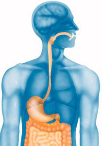 ابتلاع اسفنجة يساعد في تشخيص احتمال الإصابة بسرطان المريء!