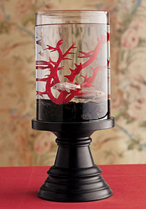 اليكم اجمل احواض سمك!