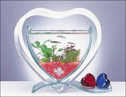 اليكم اجمل احواض سمك!