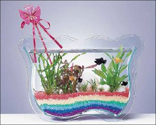 اليكم اجمل احواض سمك!