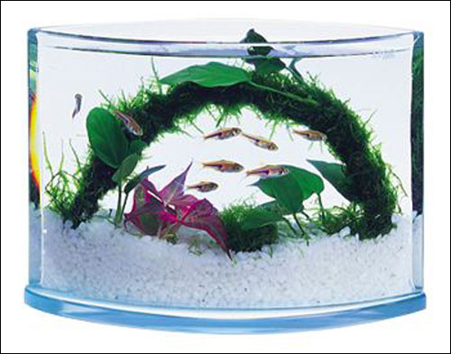 اليكم اجمل احواض سمك!