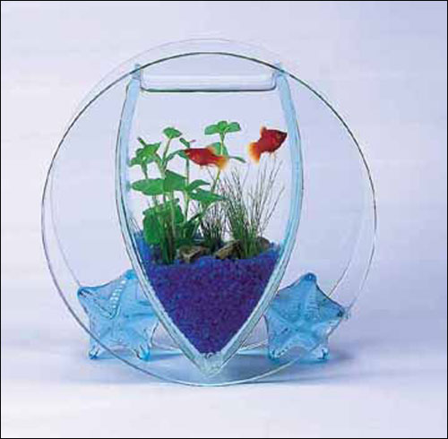 اليكم اجمل احواض سمك!