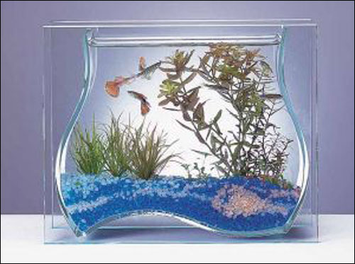 اليكم اجمل احواض سمك!