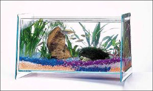 اليكم اجمل احواض سمك!