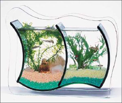 اليكم اجمل احواض سمك!