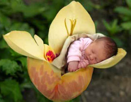 الفصل الذي يولد الطفل فيه.. يحدد حساسيته من الاطعمة!