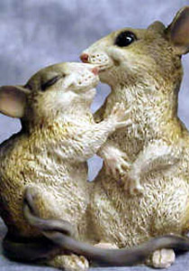 دراسة اثبتت.. ميول شاذة للذكر الذي يتربى مع عدد كبير من الشقيقات.