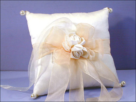 اليكم أجمل أشكال المخدات المطرزة!