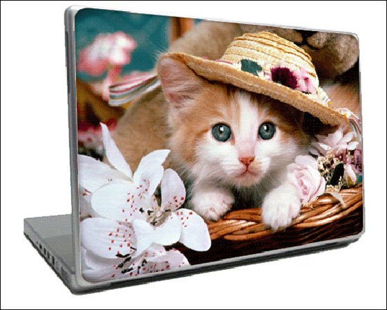 للروشنة، اغطية متعددة للاب توب!