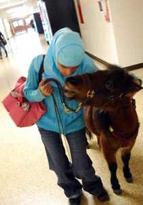 الفرس "كالي" رفيق دائم للضريرة منى.. حتى في الجامعة!