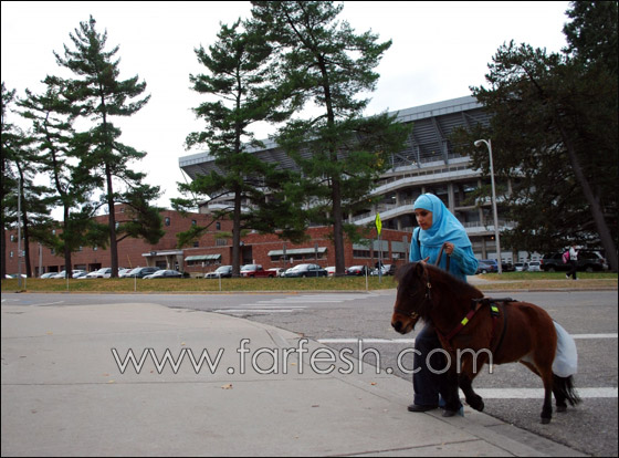 الفرس "كالي" رفيق دائم للضريرة منى.. حتى في الجامعة! الفرس "كالي" رفيق دائم للضريرة منى.. حتى في الجامعة!