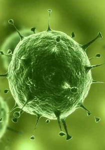 "السوبر جرثومة" تنتقل من الهند الى الدول الاوروبية!!