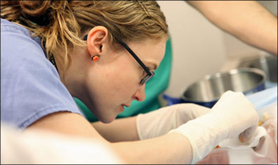 سان فرانسيسكو.. سن قانون جديد يحظر ختان الذكور!!