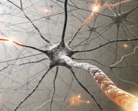 اليابان: تطوير علاج لفقدان السمع عبارة عن جل!