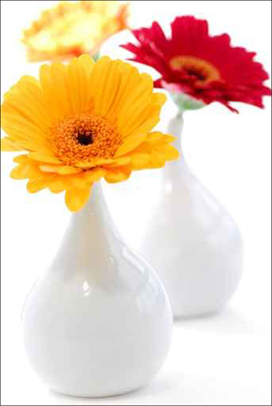 نقدم لكم أجمل تصاميم للمزهريات!