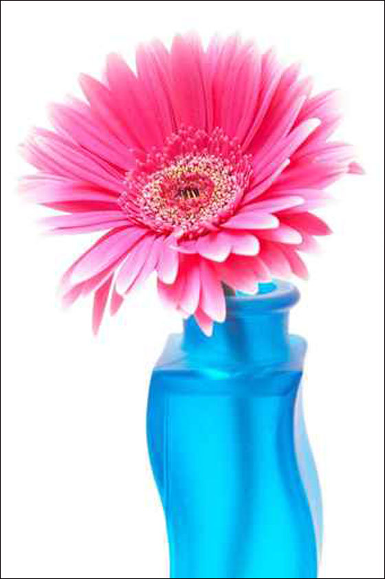 نقدم لكم أجمل تصاميم للمزهريات!