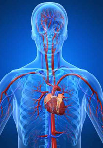 قريباً لمرضى الكوليسترول.. اسفنجة لمكافحة مرضكم!