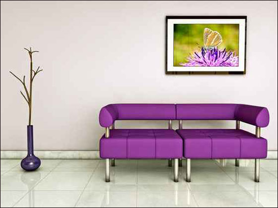 بالصور.. موضة اللون البنفسجي في المنزل! 