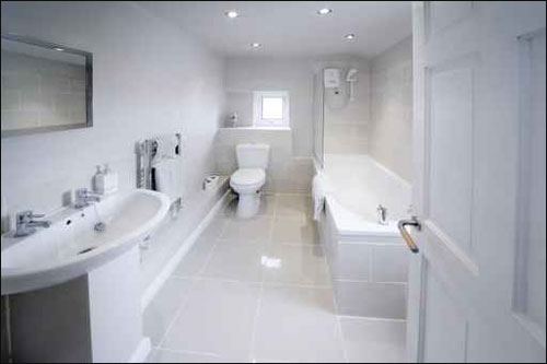 اليكم.. اجمل واكثر الحمامات اناقة!