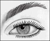 لمكياج جميل.. اليك كيفية وضعه الصحيحة!