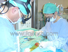 مستشفى الانجليزي:  ثلاث عمليات  قلب لخدج  بوزن اقل من  1 كغم