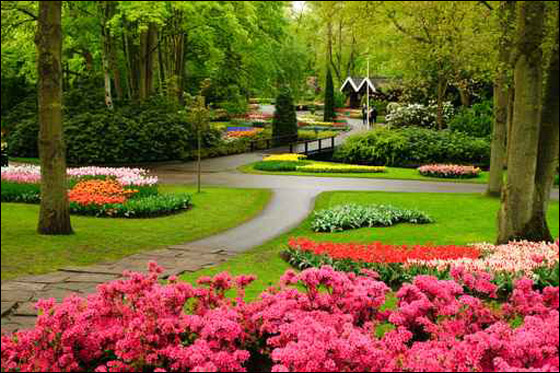 اليكم.. اجمل الحدائق المنزلية الطبيعية والمميزة!