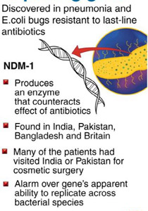 انتشار بكتيريا قاتلة ومقاومة للعقاقير في نيودلهي!! 