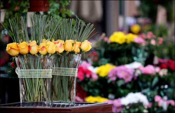 نقدم لكم مجموعة تصاميم رائعة من المزهريات!!