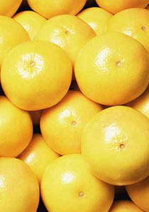 للتخلص من السمنة دون رجوع: اليكم ريجيم خاص لخسارة 3 كغم بالاسبوع